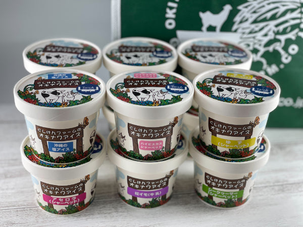 オキナワンアイスクリーム・シャーベット　１２個入り基本セット（６種類各２個）