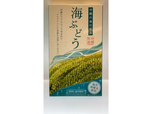 海ぶどう（塩水漬け） – おみやげやタイラ