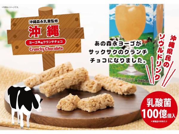 【お試し・単品】ヨーゴ風味クランチチョコ　１６本入り【送料込み】